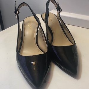 Black Kitten Heels with a Pointed Toe